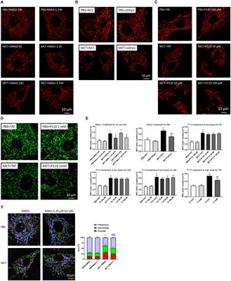 Increased Drp1-Mediated Mitochondrial Fission Promotes Proliferation and Collagen Production by Right Ventricular Fibroblasts in Experimental Pulmonary Arterial Hypertension